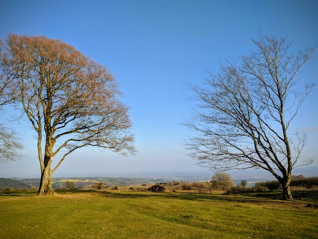 Countryside